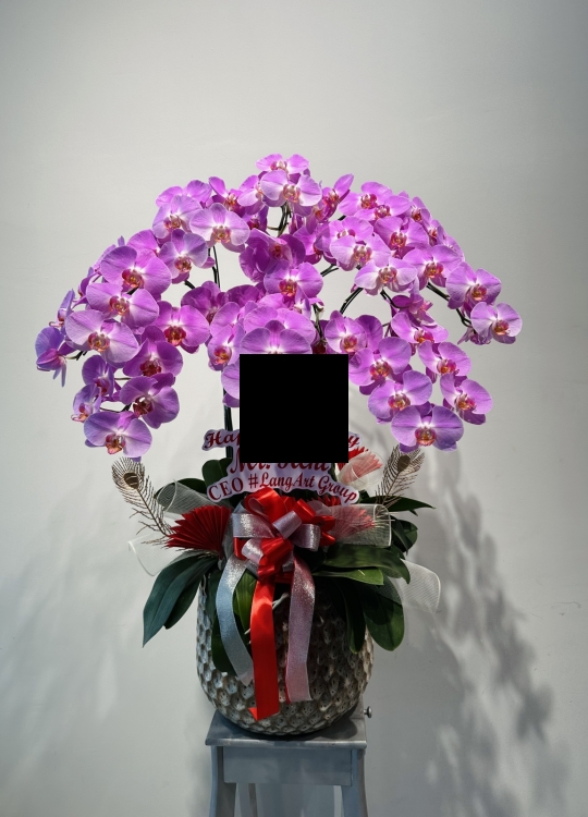 LHD 067- 