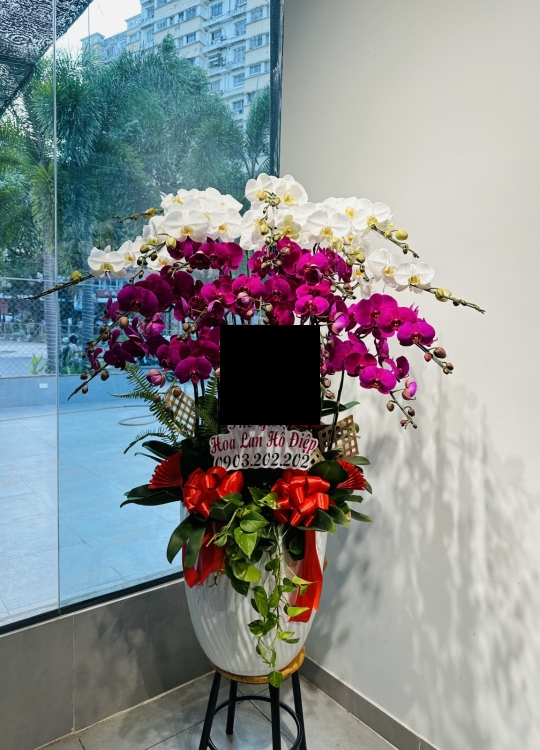 Khai Trương Đại Cát - 20 Cây