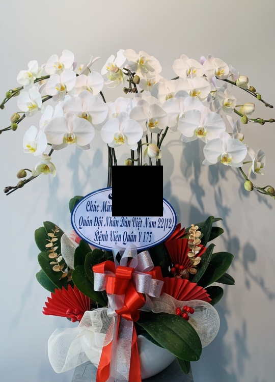 Hoa Trắng Chúc Mừng - 8 Cây