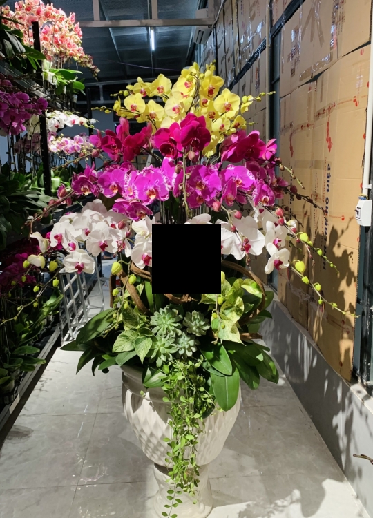 Hoa Chúc Kỉ Niệm - 36 cây