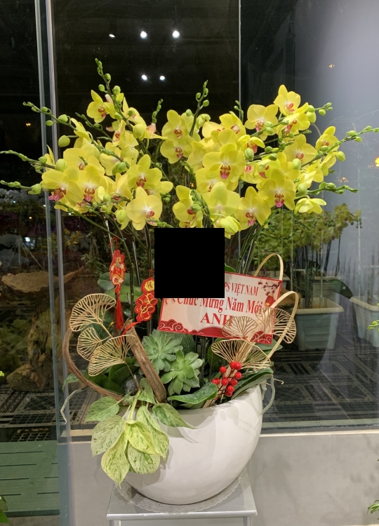 Vàng Thần Tài- 12 Cây