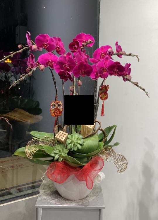 Hoa Tím Tặng Em - 6 Cây
