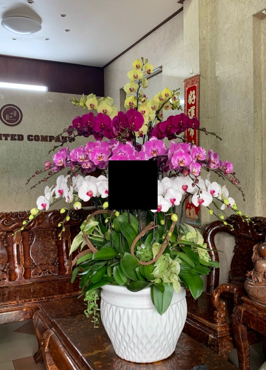 Hoa Chúc Mừng - 36 Cây