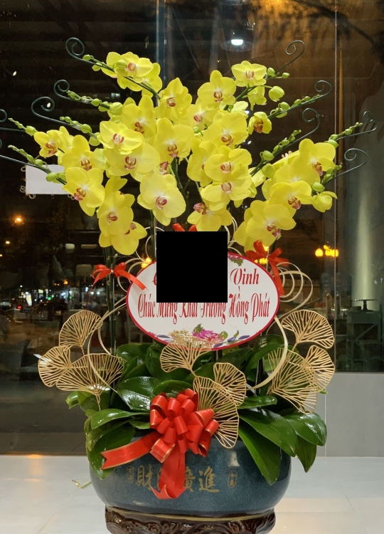 Khai Trương Phú Quý - 12 Cây