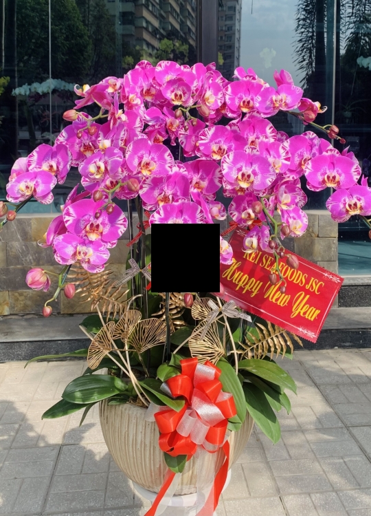 Đại Bảo Đồ - 10 Cây