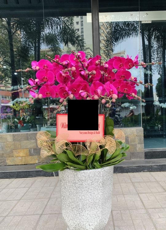 Tết Đại Cát - 15 cây