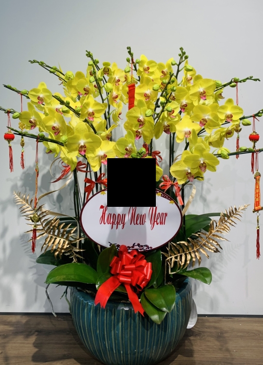 Phúc Lộc- 15 Cây