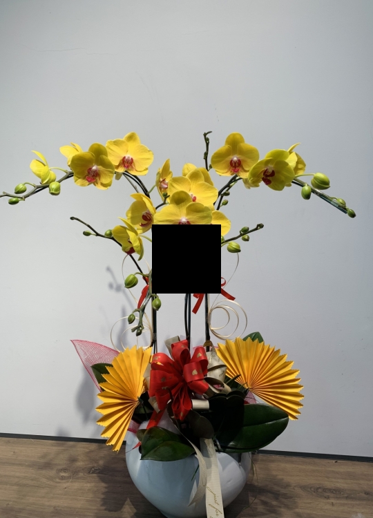 LHĐ Tết023 3 Cây