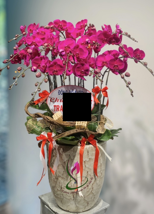 LHĐ Tết08 15 Cây