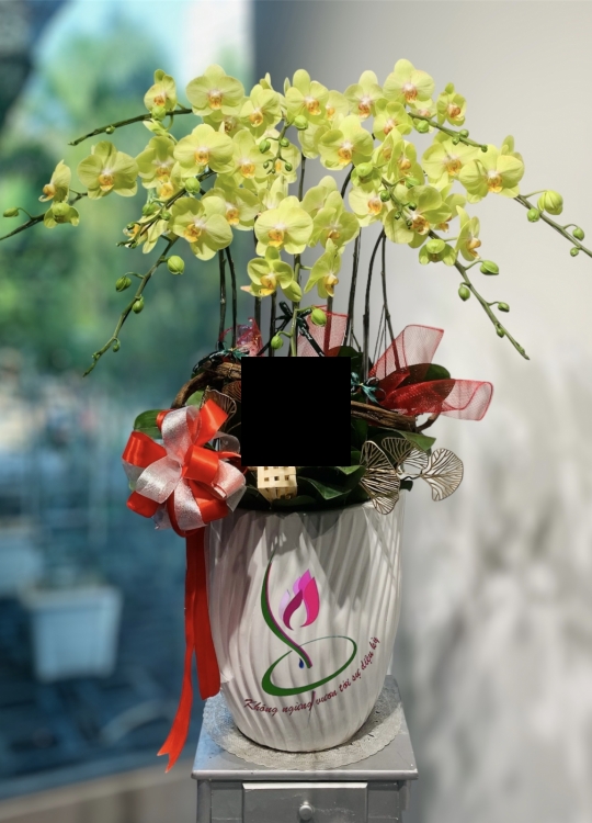 LHĐ Tết07 10 Cây