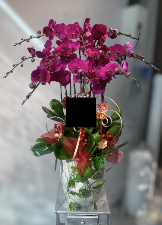 LHĐ Tết11 10 Cây