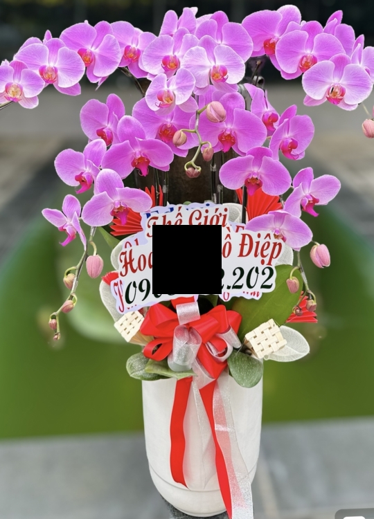 Màu Hoa Trái Tim- 5 Cây